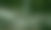 bg-blur-9.jpg