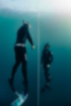 Two divers in black wetsuits float underwater near a rope. The water is clear and blue, creating a serene and focused atmosphere.