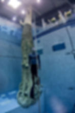 James from Singapore enjoying his first freediving session in Korea