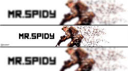 MR SPIDY banner