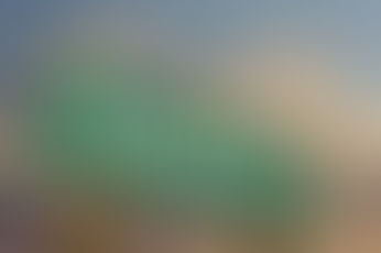 Tips For A Non-Flu Season