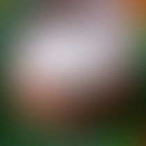 Detoxifying Epsom Salt Bath