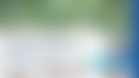 W&A: TAX, CUSTOMS AND LEGAL NEWSLETTER - NOVEMBER 2024