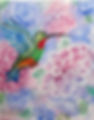 hummingbird