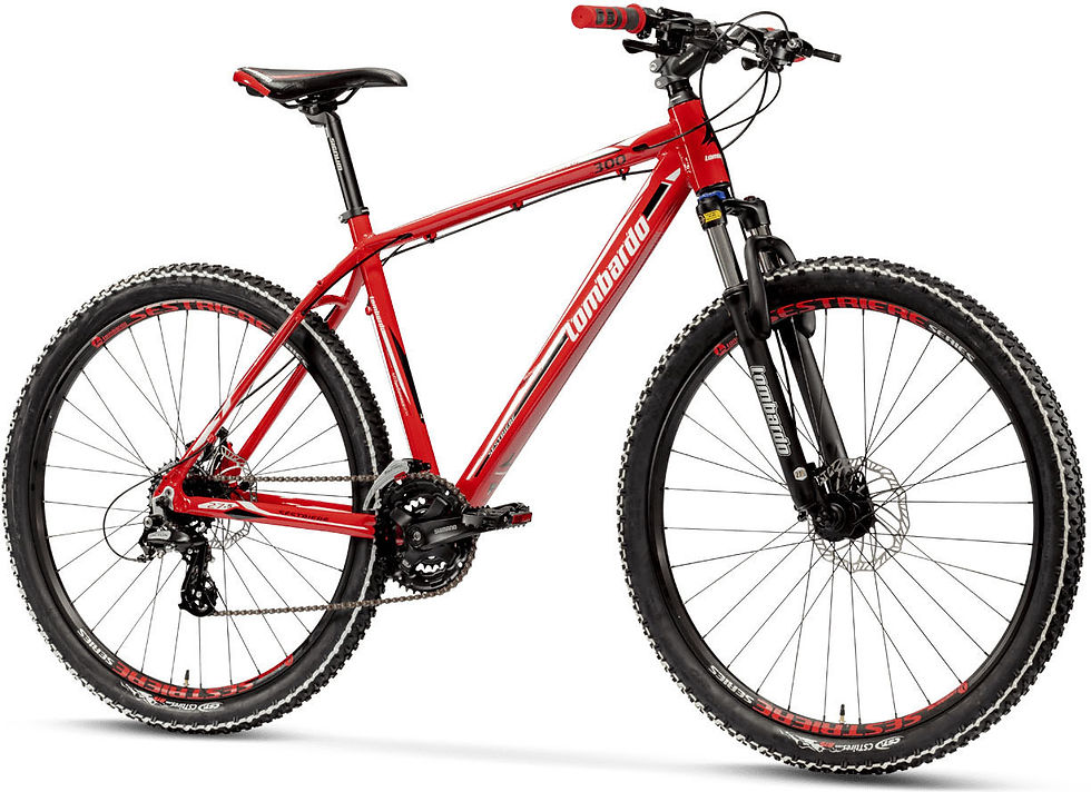 2019 Lombardo Sestriere 300