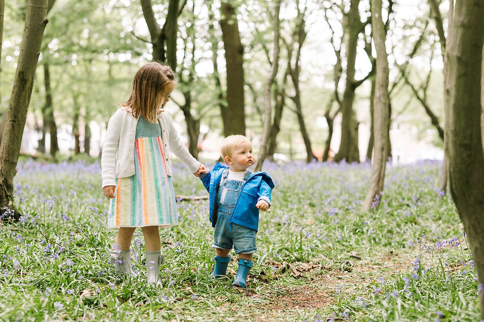 Family Photos in Bluebell Woods, Essex