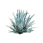 Blue Agave Photography Icon.png