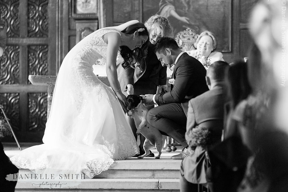 dog is the ring bearer at ingatestone hall wedding ceremony