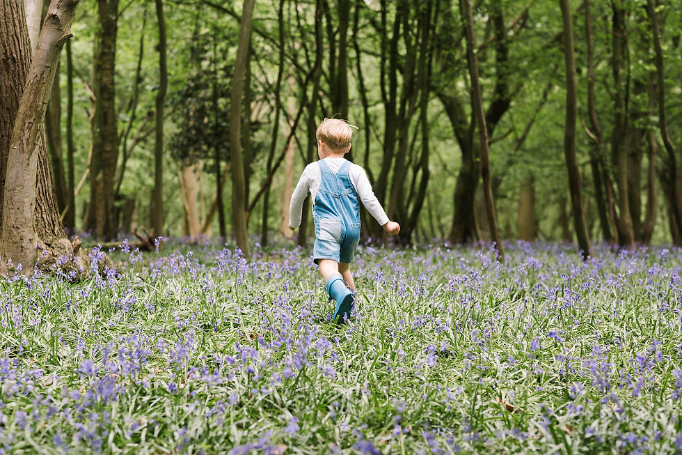 boy running through bluebells in essex