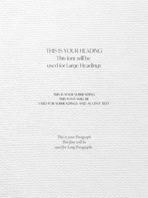 Everleigh Bridal Modern and Elegant Brand Kit by Studio Blanche Typography System