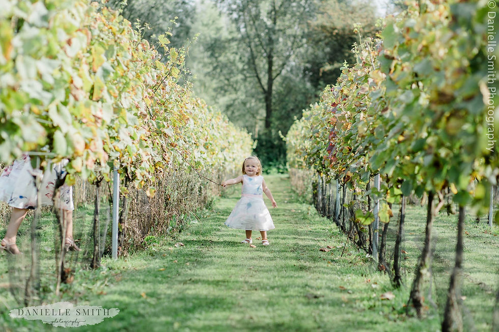 little girl in vineyard