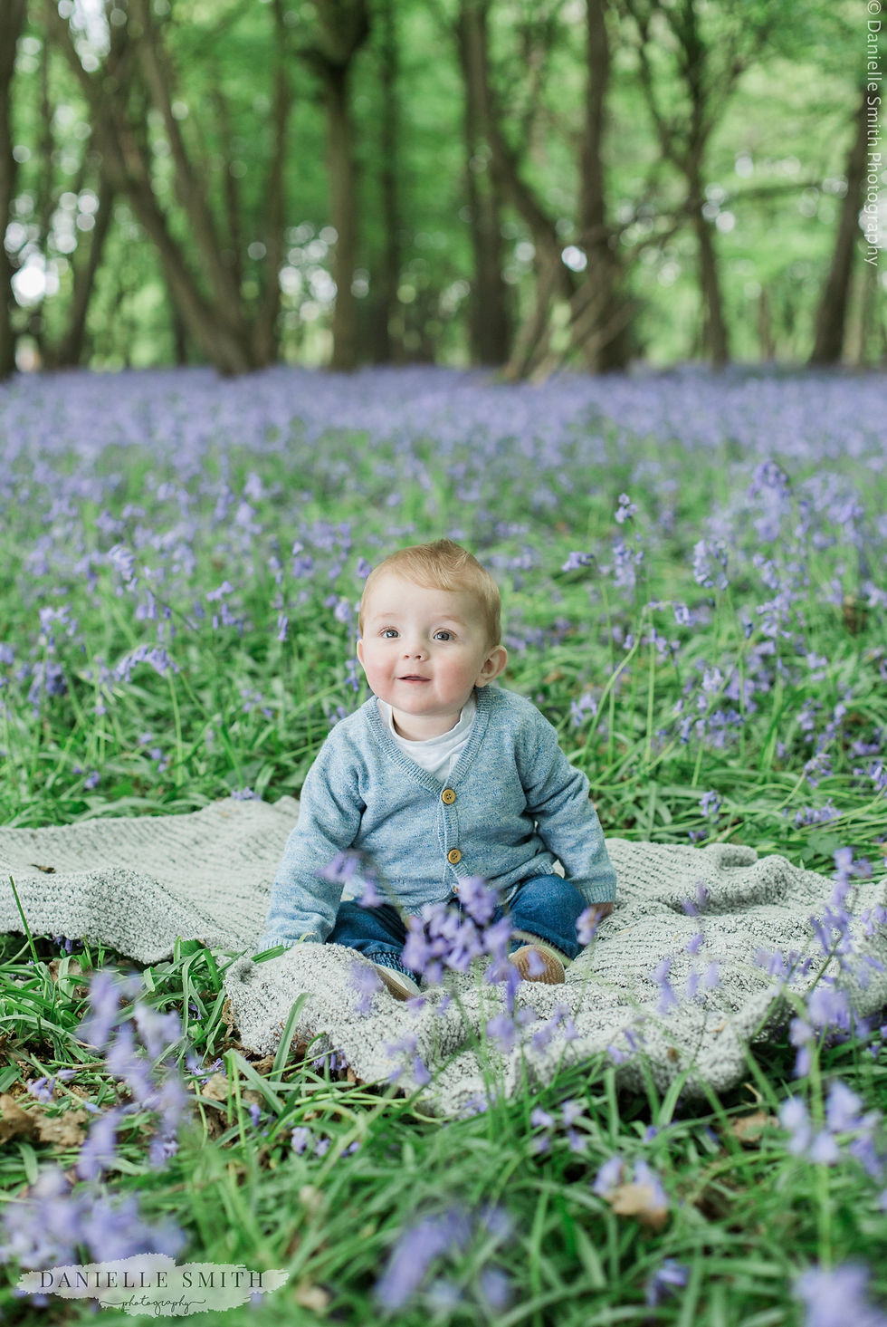 little boy sitting in bluebell woods
