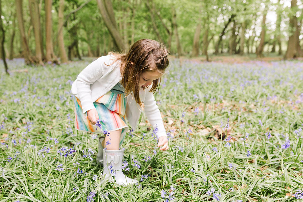 little girl picking bluebells