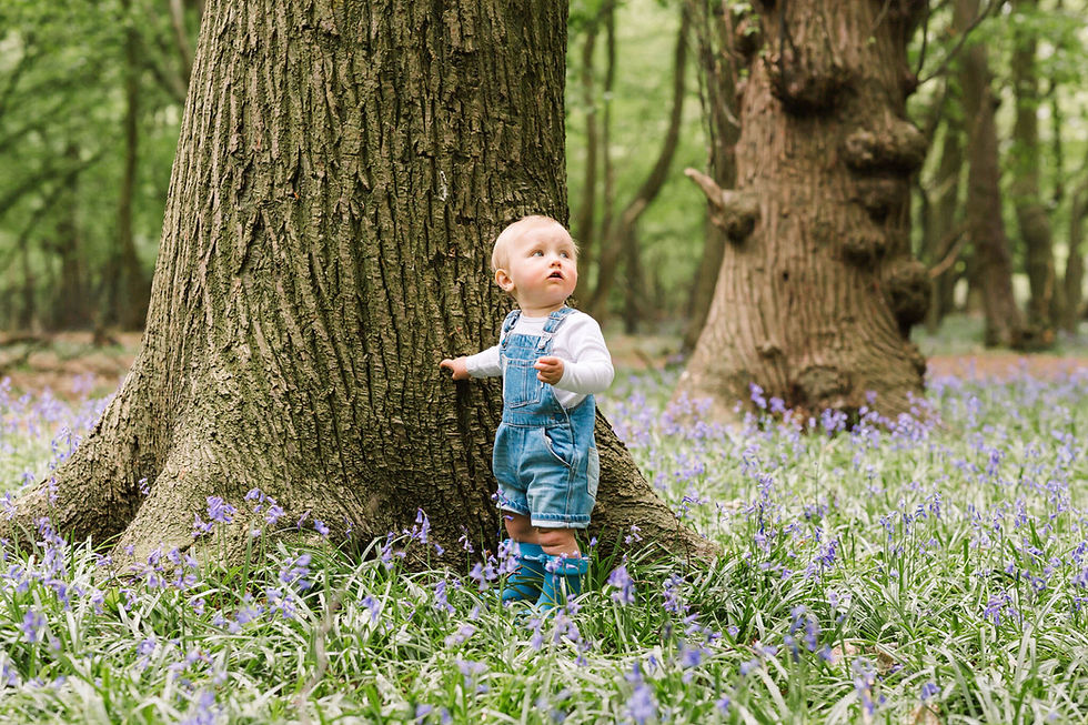 Family Photos in Bluebell Woods, Essex