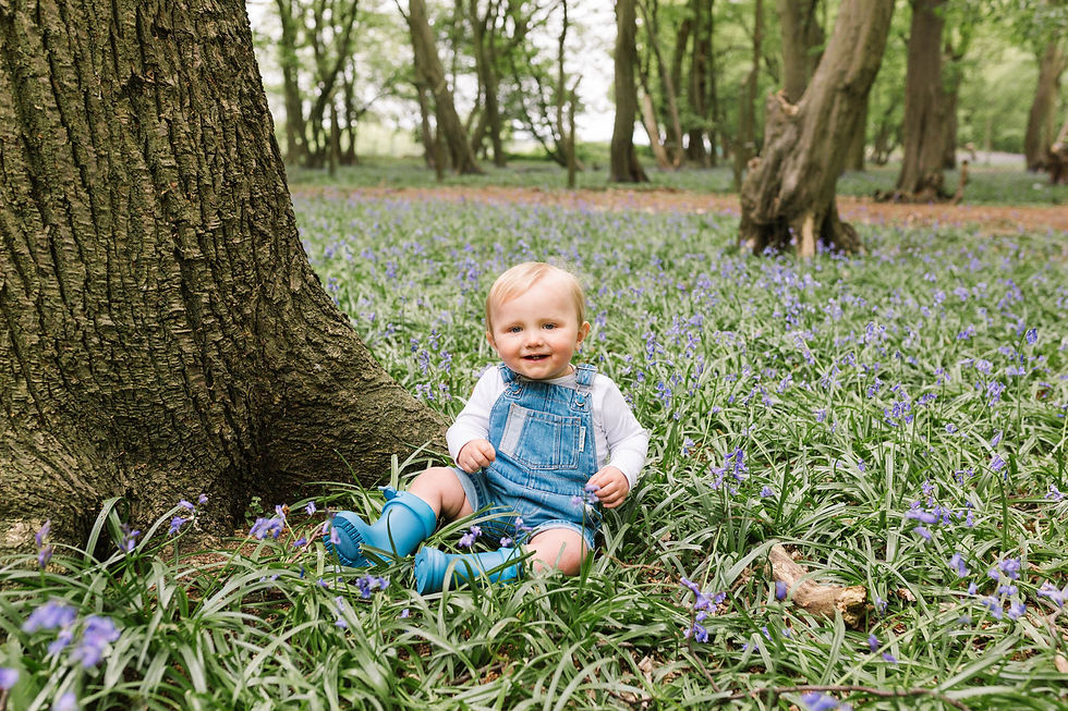 baby sitting in bluebell woods