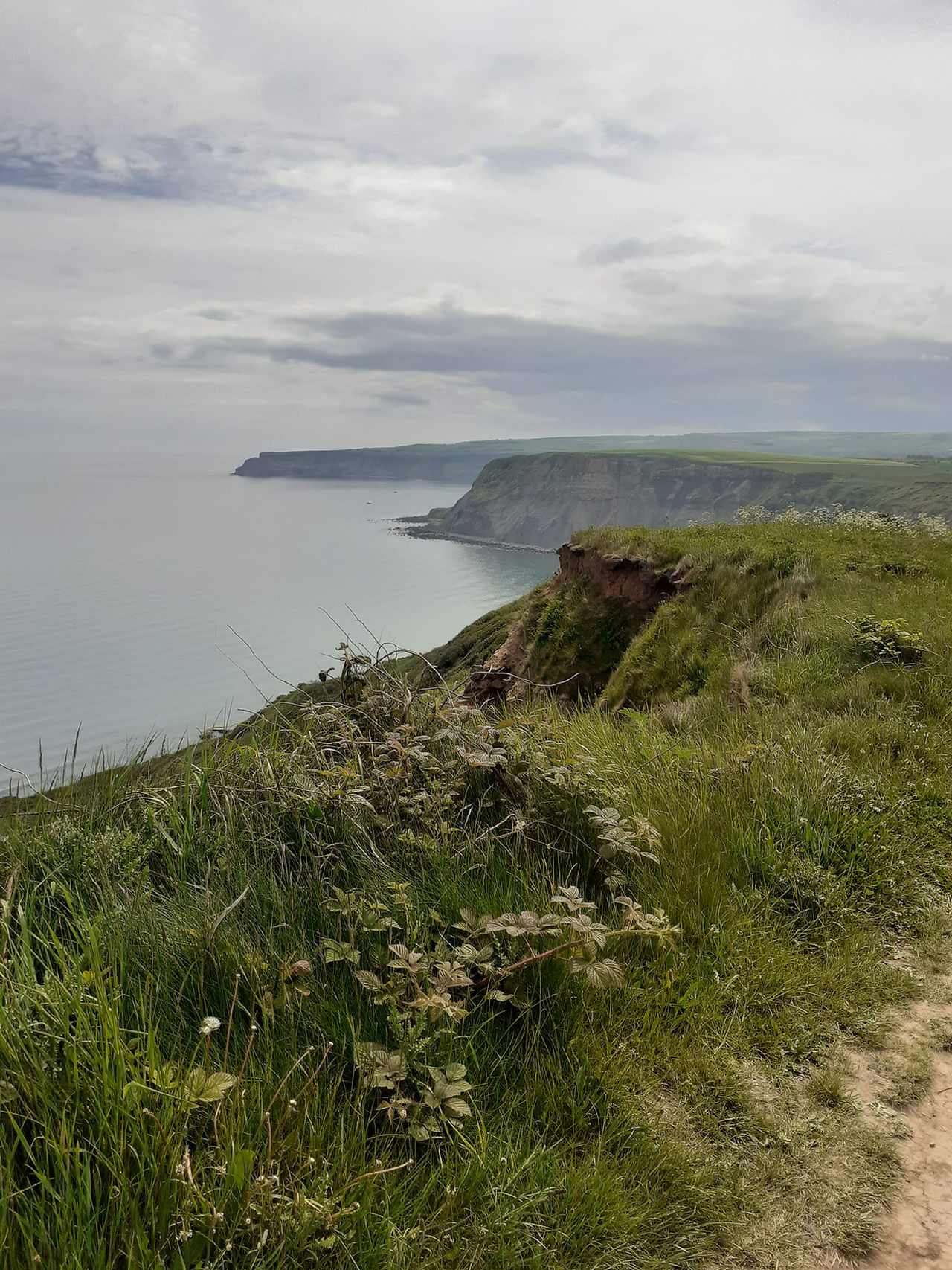 View from Staithes
