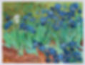 Irises: Vincent Van Gogh