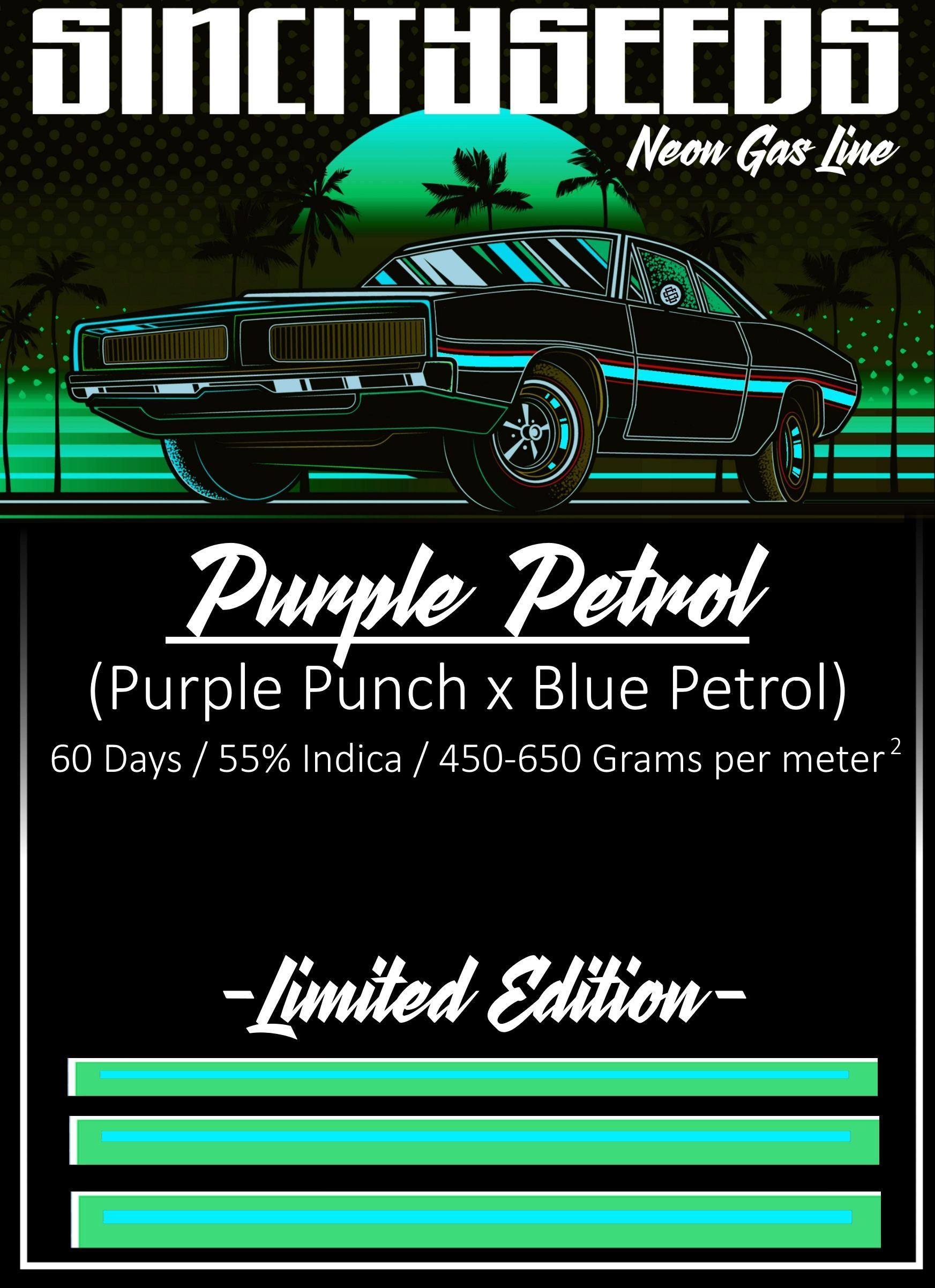 Purple Petrol