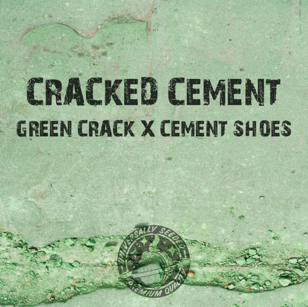 Cracked Cement