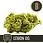 Miniaturbild: N&S's Lemon OG (12 Seed)