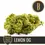 縮圖：N&S's Lemon OG (12 Seed)