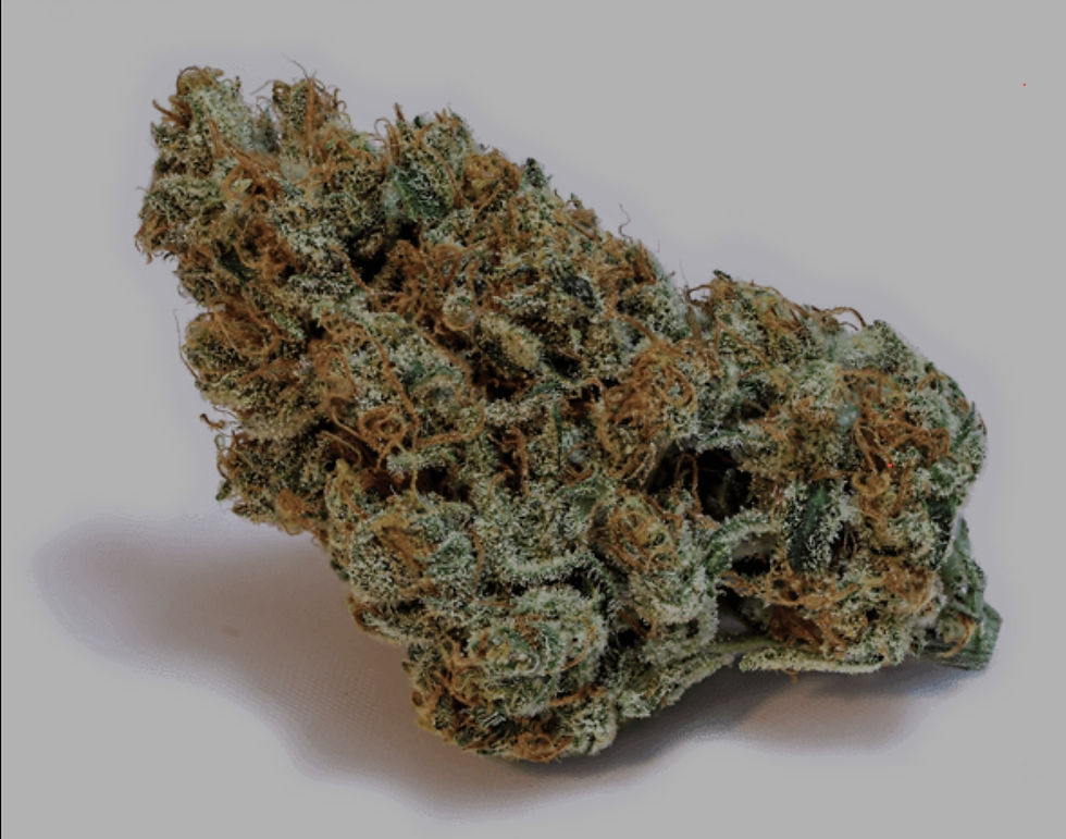 Banana Zkittlez W.G.F.T Online