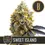 Miniature : Kyle's Sweet Island (12 Seed)