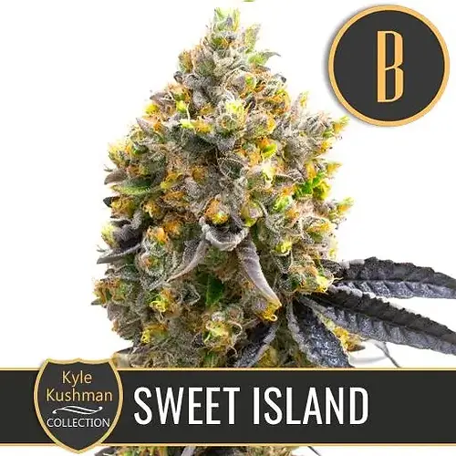 Kyle's Sweet Island (12 Seed)
