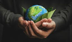 SUSTENTABILIDADE E VIDA CONSCIENTE