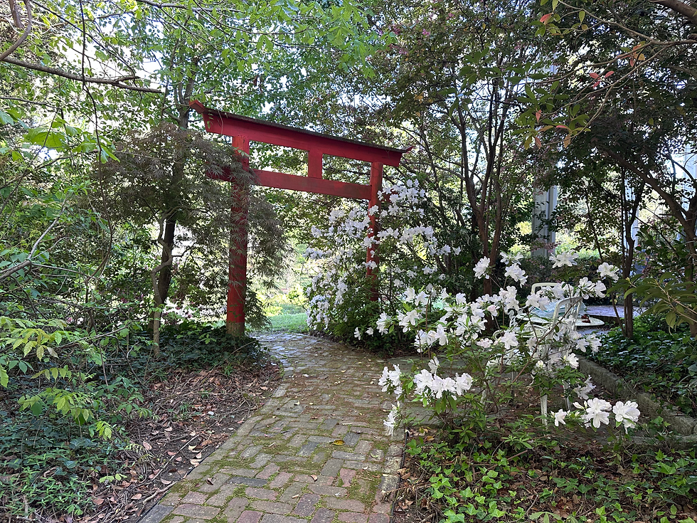 Imagining the Wright House: Community Visioning Session