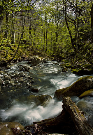 SDIM0167-2 copia.jpg