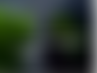 Income Policy #3: Welfare Payments