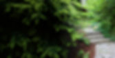 Moody OTHER Photo lighter.jpg