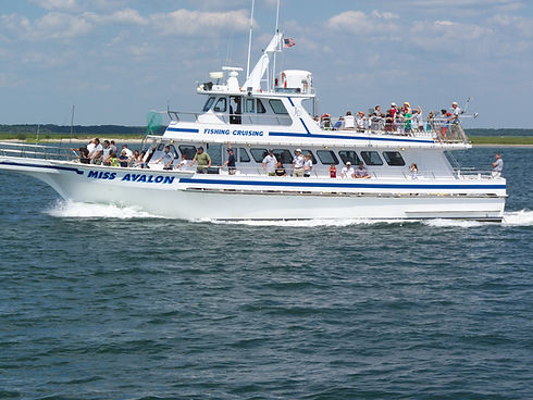 miss avalon fishing.jpg