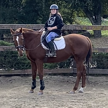 4568C1B4-B814-4692-A5E5-35BA2FE7059C_1_2