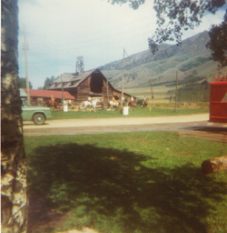 1950's Wild Rose Barn and Horses