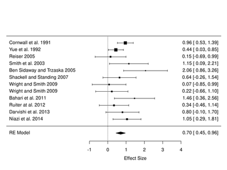 #2 Introduction to MAS: Meta-Analysis Simplified Software