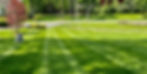 freshly mowed grass lines 