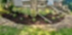 green plants planted in a flower bed on the corner of the house