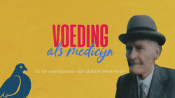 Voeding als Medicijn