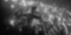 eab04e_10d102bcb33446d4bcf84fc023aff5dd_mv2.jpeg
