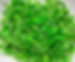 IMG_0807_edited.jpg