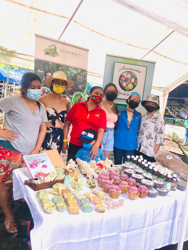 Sea Turtle Fair at Mata Oscura