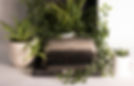 gray%20and%20black%20typewriter%20pot%20with%20green%20leaf%20plants_edited.jpg