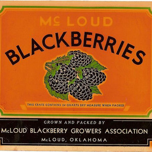 July 9-10th: Blackberry Festival