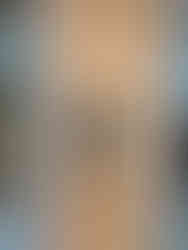 sobha dream acres interior