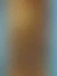 Rohan Akriti 2bhk interior