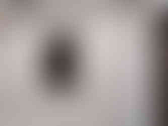 Sobha Dream Acres interior