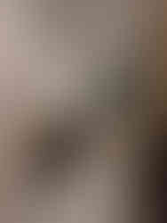 Elita Promenade 3BHK Renovation by Mayatar Interiors