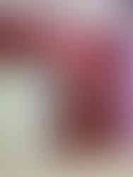 3BHK Interiors at Bren Woods